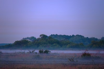 BUITEN BEELD Foto: 96968