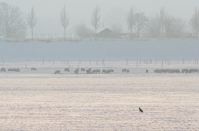BUITEN BEELD Foto: 96995