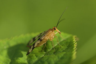 BUITEN BEELD Foto: 97067