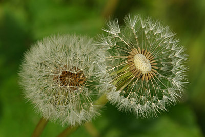 BUITEN BEELD Foto: 97111