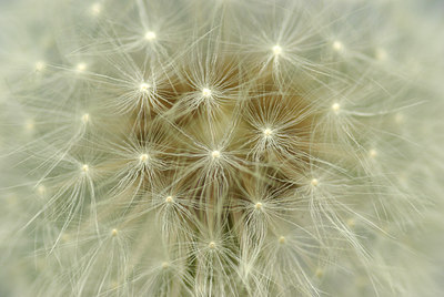 BUITEN BEELD Foto: 97113