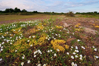 BUITEN BEELD Foto: 97140