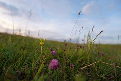 BUITEN BEELD Foto: 97143
