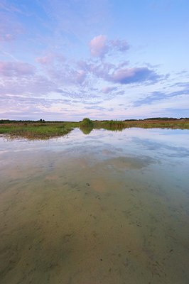 BUITEN BEELD Foto: 97147