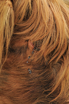 BUITEN BEELD Foto: 97207