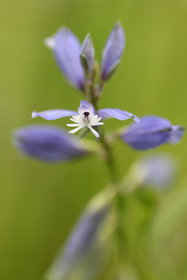 BUITEN BEELD Foto: 97237