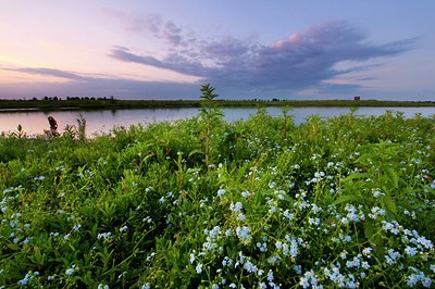 BUITEN BEELD Foto: 97388