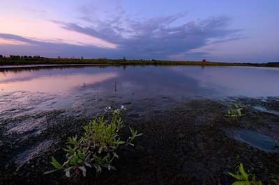 BUITEN BEELD Foto: 97389