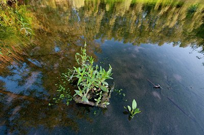 BUITEN BEELD Foto: 97399