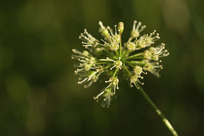 BUITEN BEELD Foto: 97408