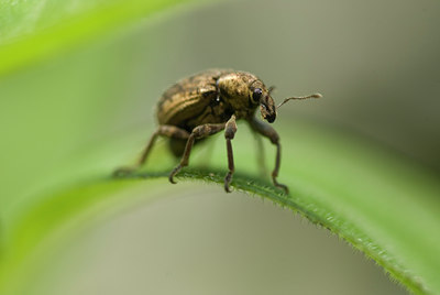 BUITEN BEELD Foto: 97416