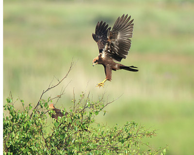 BUITEN BEELD Foto: 97427