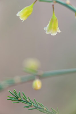 BUITEN BEELD Foto: 97494