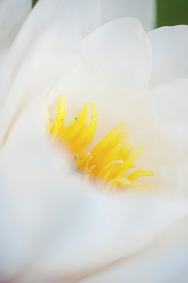 BUITEN BEELD Foto: 97546