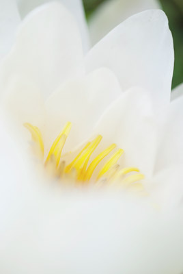 BUITEN BEELD Foto: 97548