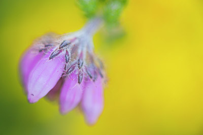 BUITEN BEELD Foto: 97552