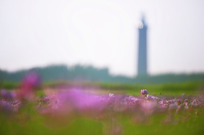 BUITEN BEELD Foto: 97564