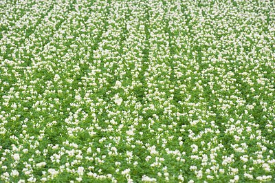 BUITEN BEELD Foto: 97576