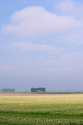 BUITEN BEELD Foto: 97578