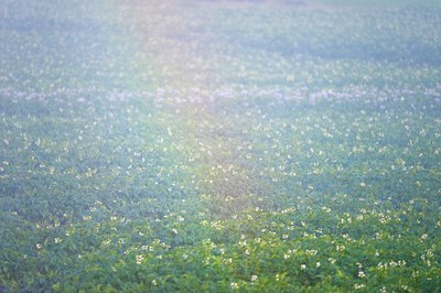 BUITEN BEELD Foto: 97589