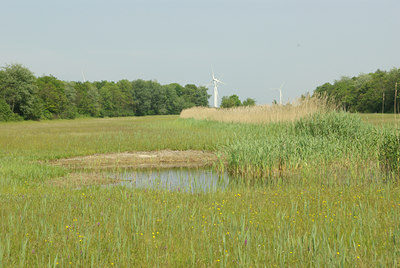 BUITEN BEELD Foto: 97686