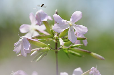 BUITEN BEELD Foto: 97726