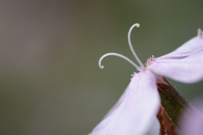BUITEN BEELD Foto: 97727