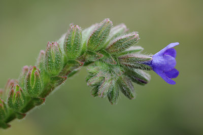BUITEN BEELD Foto: 97736