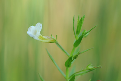 BUITEN BEELD Foto: 97852
