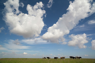 BUITEN BEELD Foto: 97900