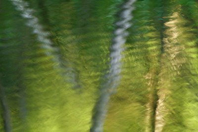 BUITEN BEELD Foto: 97941