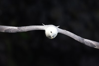 BUITEN BEELD Foto: 97963
