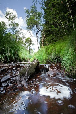 BUITEN BEELD Foto: 97993