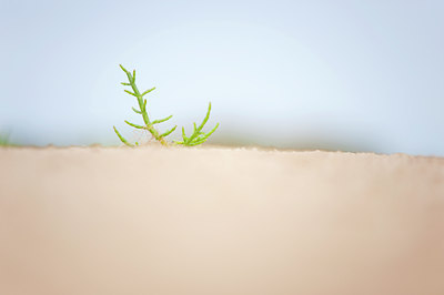 BUITEN BEELD Foto: 98073