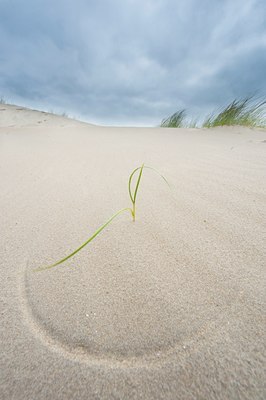 BUITEN BEELD Foto: 98077
