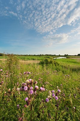 BUITEN BEELD Foto: 98079