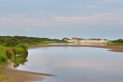 BUITEN BEELD Foto: 98092
