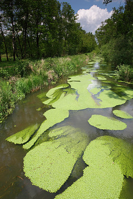 BUITEN BEELD Foto: 98178