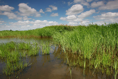 BUITEN BEELD Foto: 98179