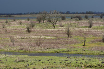 BUITEN BEELD Foto: 98180