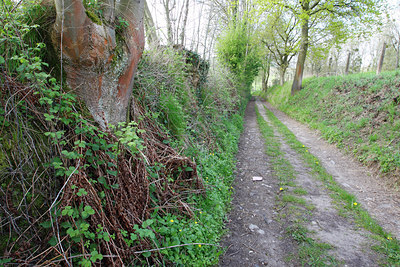 BUITEN BEELD Foto: 98190