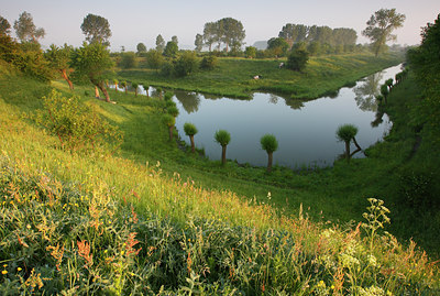 BUITEN BEELD Foto: 98193