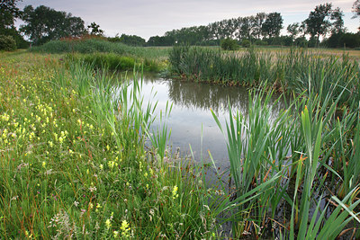BUITEN BEELD Foto: 98196
