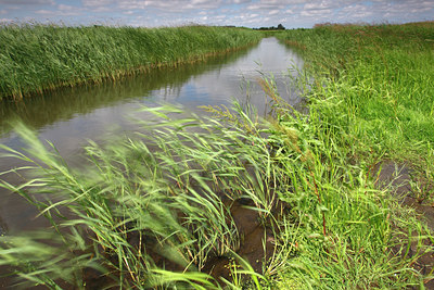 BUITEN BEELD Foto: 98199