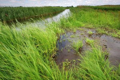 BUITEN BEELD Foto: 98201