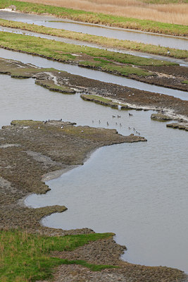 BUITEN BEELD Foto: 98254