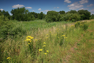 BUITEN BEELD Foto: 98259