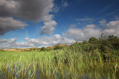 BUITEN BEELD Foto: 98293