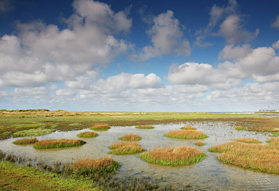 BUITEN BEELD Foto: 98296