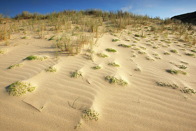 BUITEN BEELD Foto: 98405